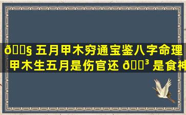 🐧 五月甲木穷通宝鉴八字命理（甲木生五月是伤官还 🌳 是食神）
